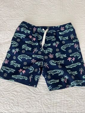 Boys Chubbies Swim Trunks